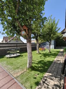 Plac zabaw drzewa